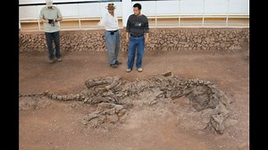 ಇವು ಇಷ್ಟೇ ಸಾವಿರ ವರ್ಷಗಳ ಹಿಂದಿನವು ಅಂತ ಸಿಕ್ಕ ಪಳೆಯುಳಿಕೆಗಳನ್ನು ಹೇಗೆ ಕಂಡು ಹಿಡಿಯುತ್ತಾರೆ ಗೊತ್ತಾ | ಇದು kannada tech for you