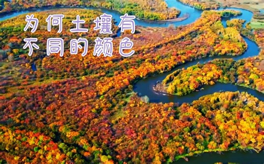 为何土壤会有各种不同的颜色