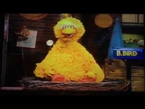 My Sesame Street Home Video Learning About Numbers Part 3