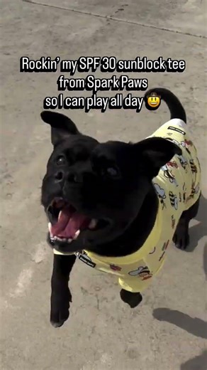 Looking sharp and sun-safe! 😎☀️