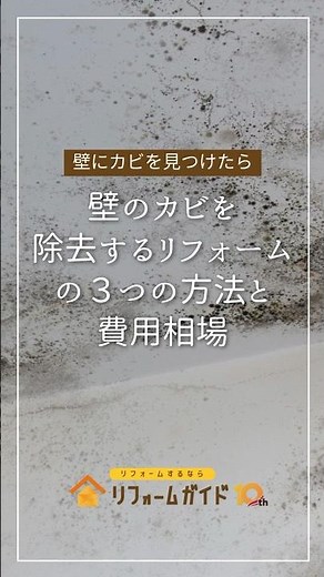 壁のカビを除去するリフォームの3つの方法と費用相場［壁にカビを見つけたら］#リフォーム #リフォーム費用 #カビ取り