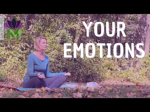 20 Minute Meditation for Acceptance and Gratitude | Beginner Meditation Series | Mindful Movement