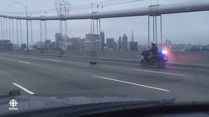 269K views · 1.4K shares | The California Highway Patrol had to close...