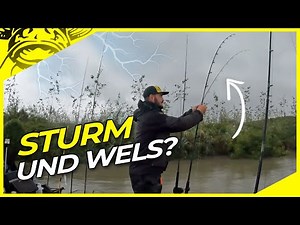 WELSANGELN unter EXTREMEN BEDINGUNGEN | Wallerangeln vom Boot am Fluss mit U-Pose