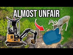 Is This the Best Small Property Upgrade for Deer Hunting?