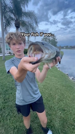Which fish did you pick?