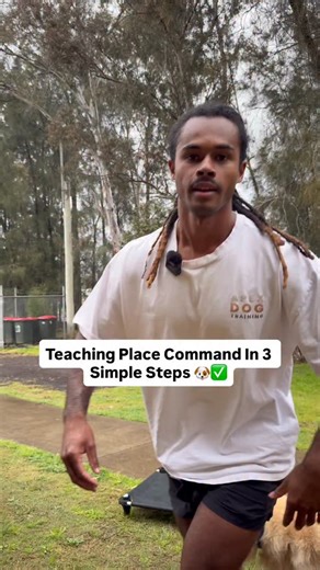 6.2K views · 61 reactions | Here’s how to teach the place command in 3 simple steps. Place is the opposite of recall and is a necessary command. Not to mention it’s fun ✅ If you need further help: - Book an in person/virtual lesson ✅ - Check out my online course ✅ - Join my subscription service ✅ Find all of these avenues by heading to my profile 酪 #dogtrainersofinstagram #dogtrainingtips #dogtraining101 | Apex Dog Training | Facebook