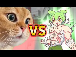 猫ミームVSずんだもん