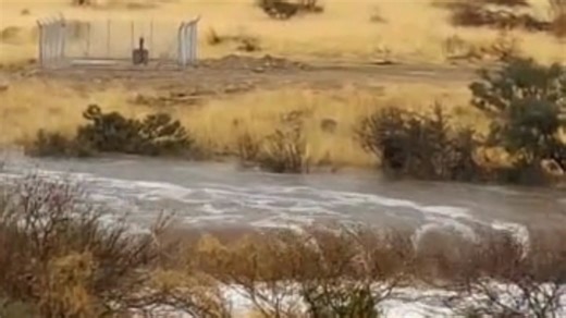 Agriforum Namibian Agriculture Magazine on Reels