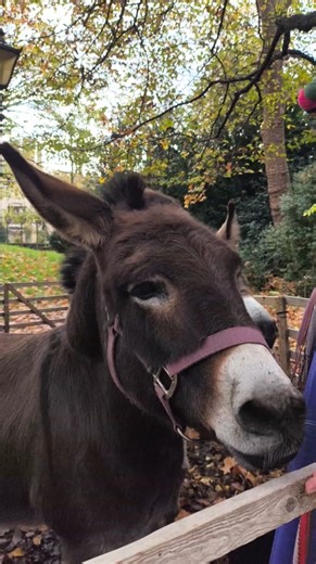 The Nativity came to life for more than 1,500 primary-school children and teachers though interactive workshops by Wintershall at Visit Lambeth Palace last week. Looking for a crib service near you? Find a church to experience the miracle of the birth of Jesus this Advent and Christmas at AChurchNearYou.com. | The Church of England