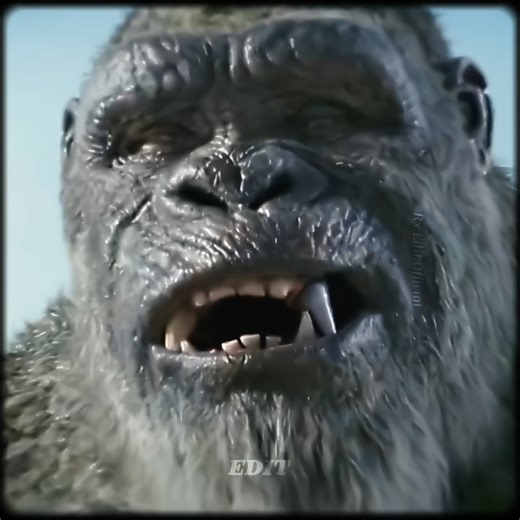 Godzilla Vs Kong Fight./🗿Edit.[-LUNA BALA (Slowed).#godzilla