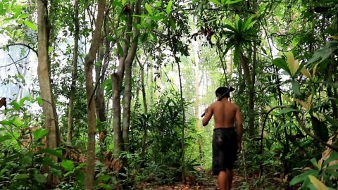 How We Built a Forest House with Groundwater, Pool & Gym by Hand