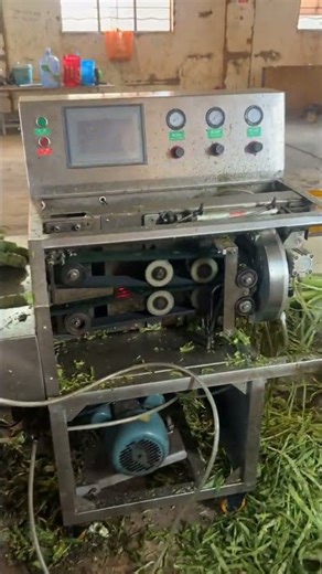 Fresh vegetable processing site