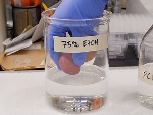 Measuring Endoreduplication by Flow Cytometry of Isolated Tuber Protoplasts