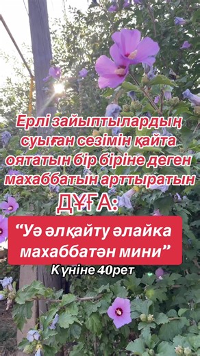 Дұға жасау жөніндегі махаббат арттыратын