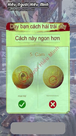 Trí Tuệ Cảm Xúc (EQ): Chìa Khóa Để Thấu Hiểu Bản Thân Và Thành Công