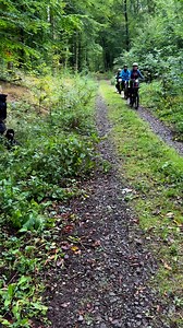 280K views · 4.5K reactions | Fahrrädern im Wald begegnet. Hier ein kleines Video, die zwei Personen halten ihre eigenen Hunde fest, sie waren mit ihren Hunden mit uns spazieren. Habt einen tollen Sonntag  #dogsworld #dogslifestyle #dogs #dogslife #hundeleben #dogslover #hunderudel #hundeforscherin #hundeliebe #hunde #dogsofinstagram #leaderofthepack #dogpack | Aus dem Leben der Hundemeute von Katrin Scholz | Facebook
