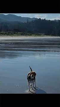 Nehalem bay state park