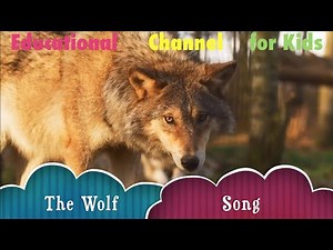 Vargsången | The Wolf Song with lyrics