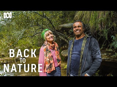 The health benefits of nature | Back To Nature