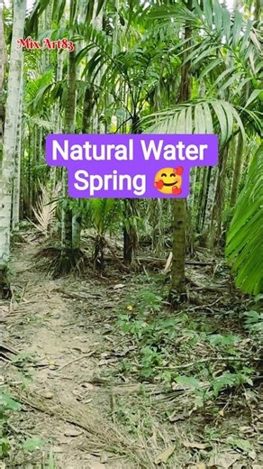 Natural Water Spring🥰 #short