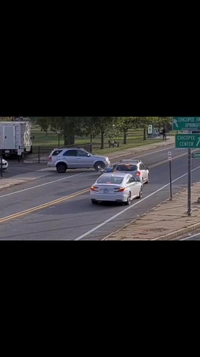 203K views · 306 reactions | Who's fault | Springfield Productions | Facebook