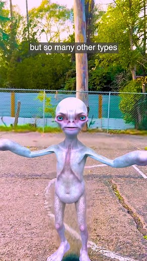 Beyond Grays: Exploring Alien Types & Hybrids