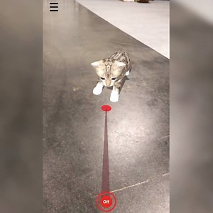 Laser Pointer And Cat AR App | Scout House