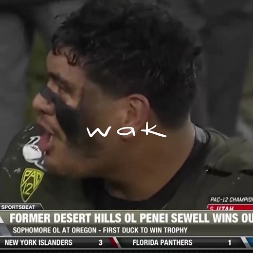 #peneisewell #oregon #lions #gl40