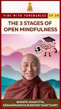 The 3 Stages of Open Mindfulness #Buddhism #BuddhistTeaching