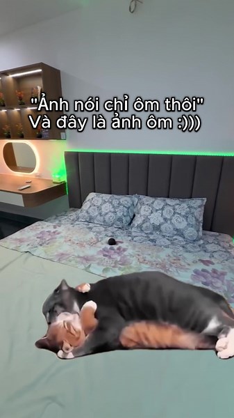 Ôm của anh homestay Hà Nội — phòng ấm áp, cảm xúc nhẹ