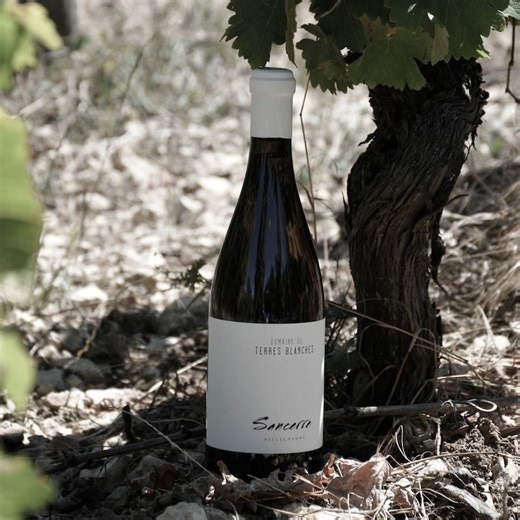 Everyone is Talking About Sancerre Wine Now, Thanks to Taylor Swift