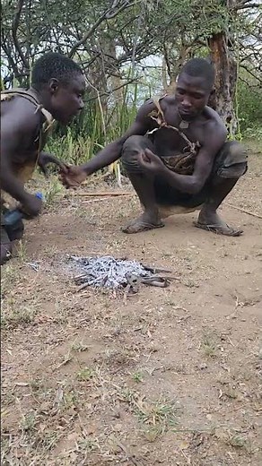 Inside the Hadzabe Forest Life with Mr. Chaba and Friends