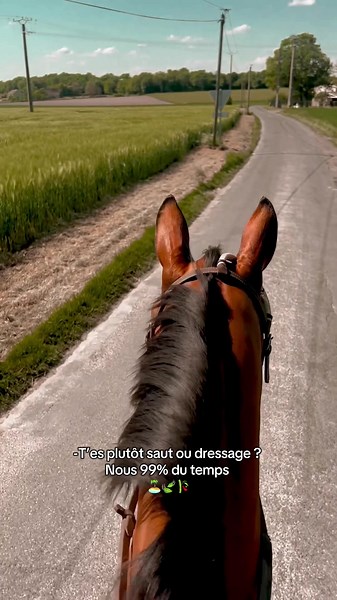 Un programme d’entraînement vreuuummmment 😅 jpp comme son pas colle à la musique 😭 #horses #pourtoi #cheval #cavalier #love #cso #fail #training #equitation