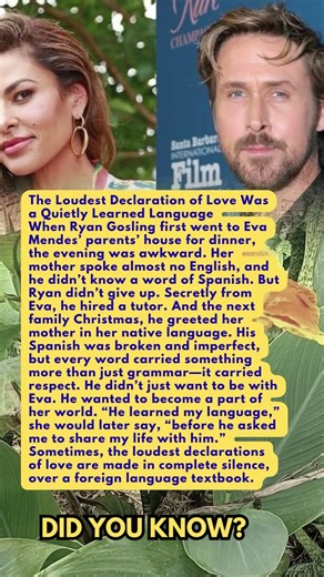 The Loudest Declaration of Love Was a Quietly Learned Language