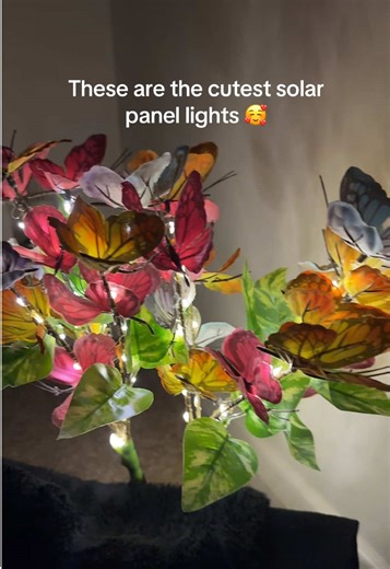 As long as you charge them, they’re great for inside or outside as long as it’s dark! 💐🌺 #solar #solarlights #prettyfeature #butterflys #flowers