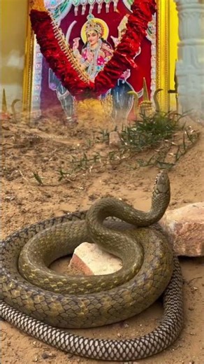 "જય માં મેલડી | Meldi Maa Ni Mahima | Powerful Gujarati Maa Meldi Bhajan"