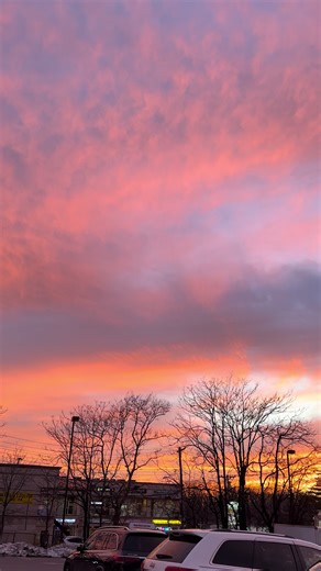 Pei Chang (@peipeichang_)’s videos with original sound - TONY