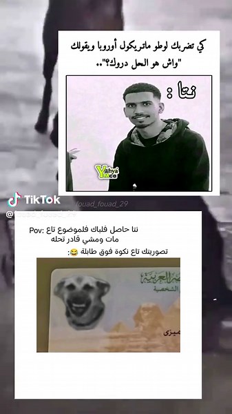 أفضل ميمز جزائري مضحك لتجعل الجميع يضحكون