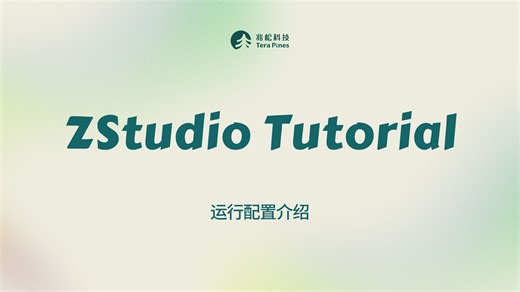 ZStudio Tutorial - 运行配置介绍