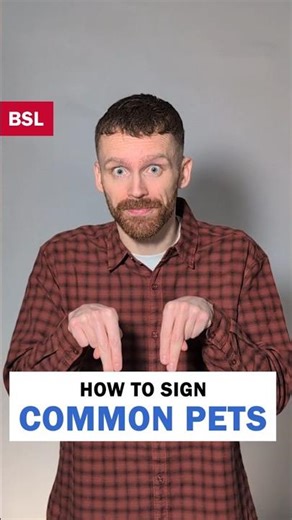 How to sign Common Pets: BSL Sign of the Day 171