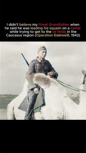 WW2 Colorized Footage - German Infantry riding a camel #history #ww2