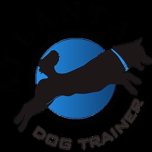 Nose & Scent Work Classes | Atlanta Dog Trainer