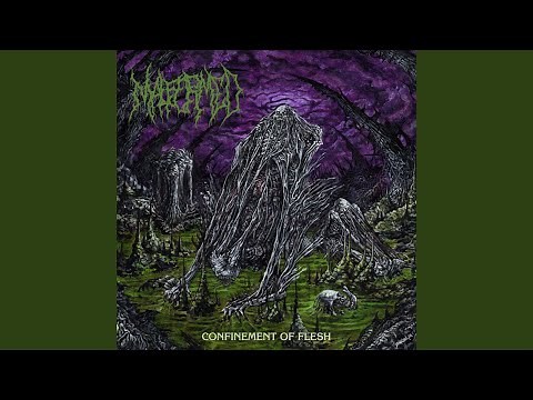 Confinement of Terror