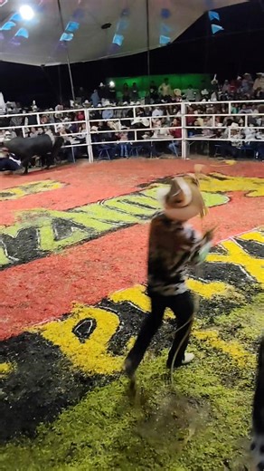 9K views · 176 reactions | J. Guacho de Michoacán T. Cara de leche R. Gonzalez Rancho L.Xixila, Gro | Tijolo de Ayutla | Facebook