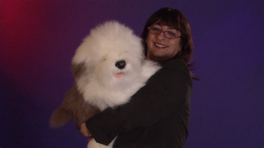 Watch Folkmanis Sheepdog Puppet Demo on Amazon Live