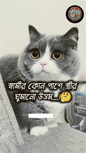 স্বামীর কোন পাশে স্ত্রীর ঘুমানো উত্তম!🤔 Ayesha collection।। #subscribe #cat