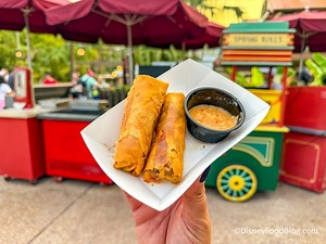 REVIEW: Did THIS New Spring Roll at Magic Kingdom Just Become Our Favorite Snack? | the disney food blog