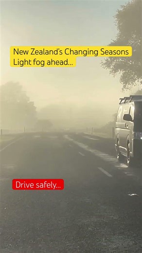 New Zealand’s Changing Season • Autumn Going Winter • Light Fog Ahead 🌏🇳🇿🇳🇿