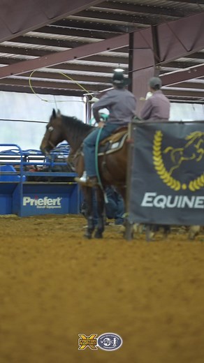 Nicky Northcott heading Jr. Ironman Champion Ketch Kelton = FAST💨 They were 5.06 in Round 3! | X Factor Roping